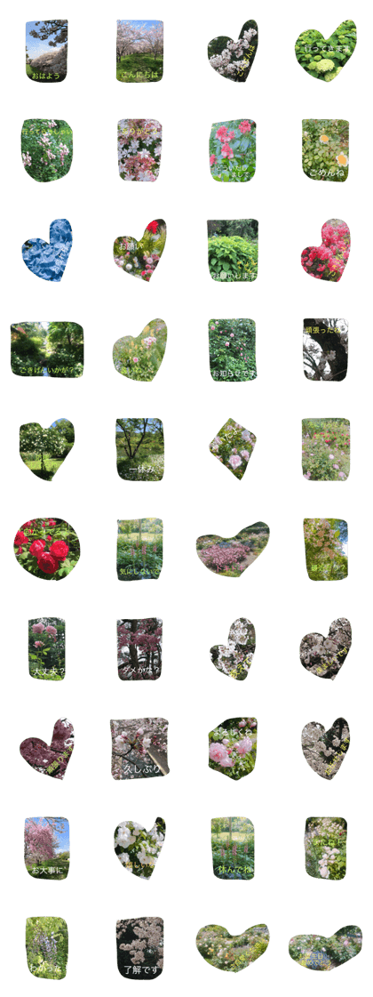 Stamp of a flower having the rose