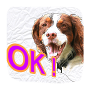 Brittanyspaniel Brittanyspaniel