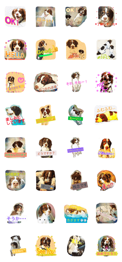 Brittanyspaniel Brittanyspaniel