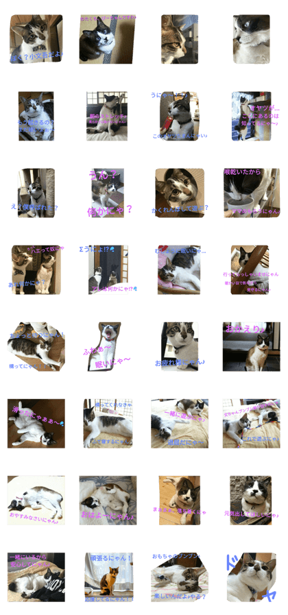 Pi&Bun NYAN's Pi&Bun NYAN's