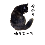 Ponta & Kurumi's Stamp No.2 Ponta & Kurumi's Stamp No.2