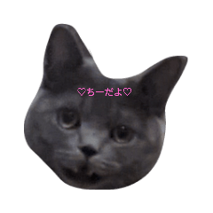 Cindy_20210605110526