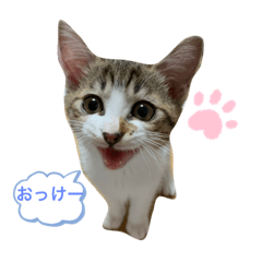 mimi_20210605152658