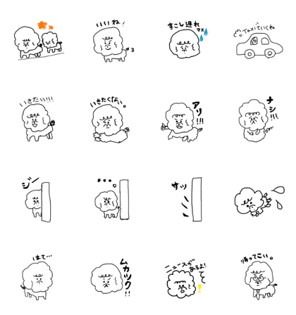 Fight! bichon frise Fight! bichon frise