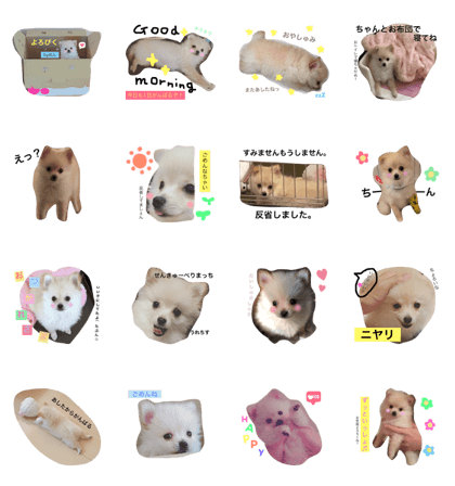 wanpakupomuchannamakemonopomu