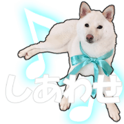 SHIBAINU SHIRO @ Daily use sticker