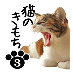 NEKO no kimochi 3 cat