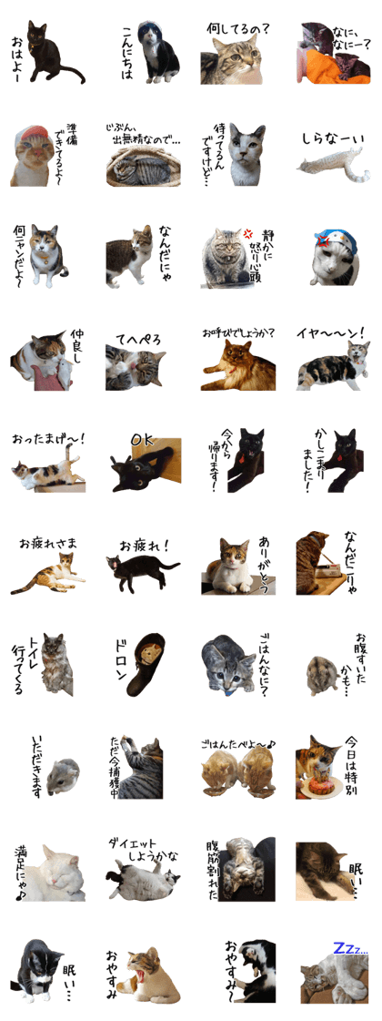 NEKO no kimochi 3 cat