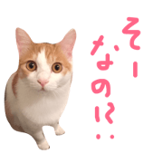 Bisco (by Bisco&Mugi)