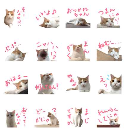 Bisco (by Bisco&Mugi)