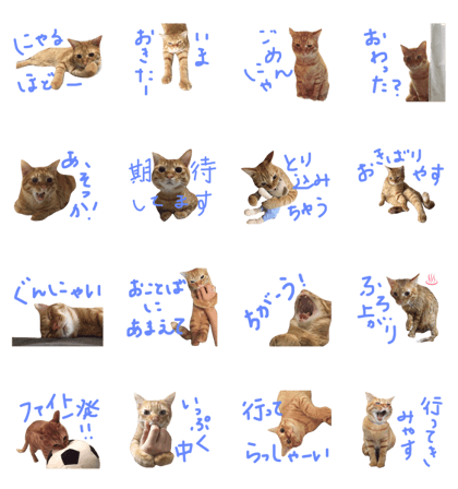 Mugi (by Bisco &Mugi)