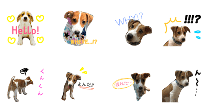 JackRasseruTeria,Louis