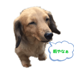risa_20210605142707
