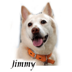 Jimmy The Dog