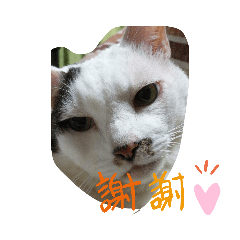 Tomomi_20210605195604