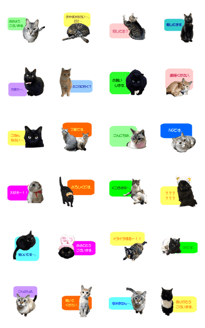 Cat-friends