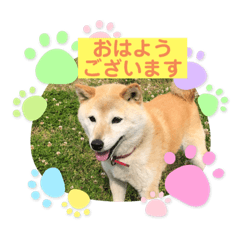 iyorin_20210605172506