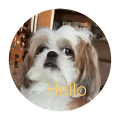 Grace_20210604191300