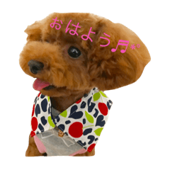Coro with Moka