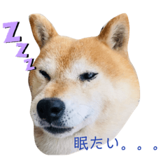 saya_20210605212206