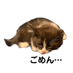 mimi_20210605220835