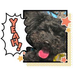 moko_202106052212553