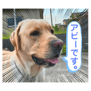 shikei_20210605221117