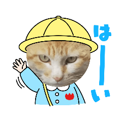 ken_20210605225255