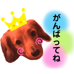risa_20210605230829