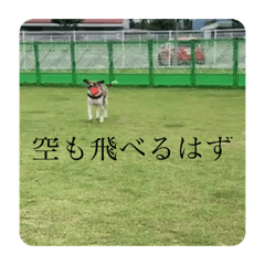 asako_20210606004445