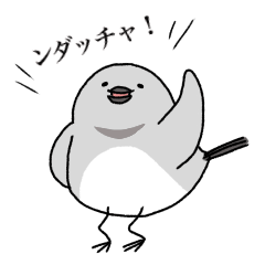 the bird in MIYAGI prefecture