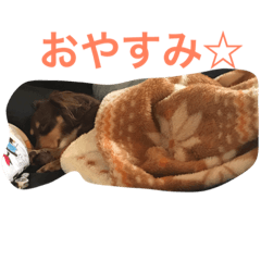 CHOCO&CHA2