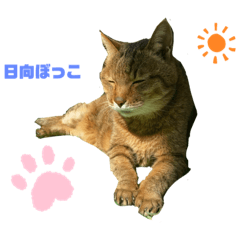 risa_20210605223358