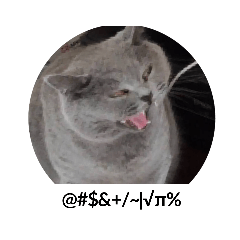 肉包要不要吃肉肉