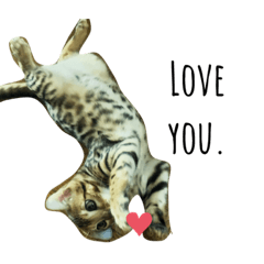 asuka_20210605222657