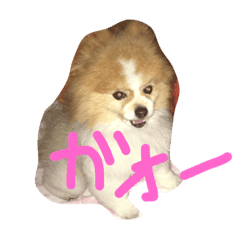 ポメラニアン S M Line スタンプ Line Store