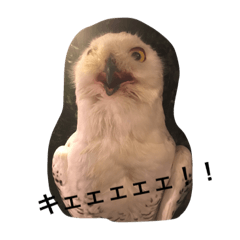 動物さん達大集合だわいわい Line スタンプ Line Store