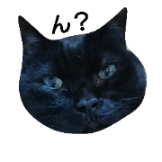 nekosan 1
