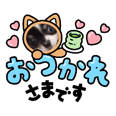kaori_20210606120851