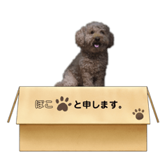 saya_20210605233730