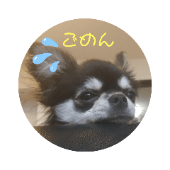 HIYORI_20210604214409