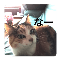 Tommy_20210606144537