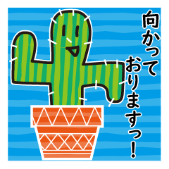 Nice cactus