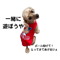 wagamamapoo_20210606165521