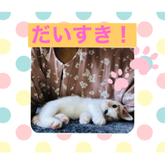 aoi_20210606171040