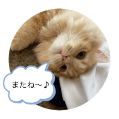 Monaka_20210606153554
