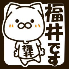 Fukui-cat