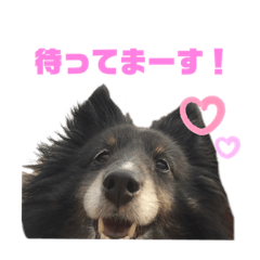 ALICE_20210606151800