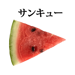 suika water melon 2