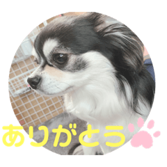 Natsumi_20210606144856